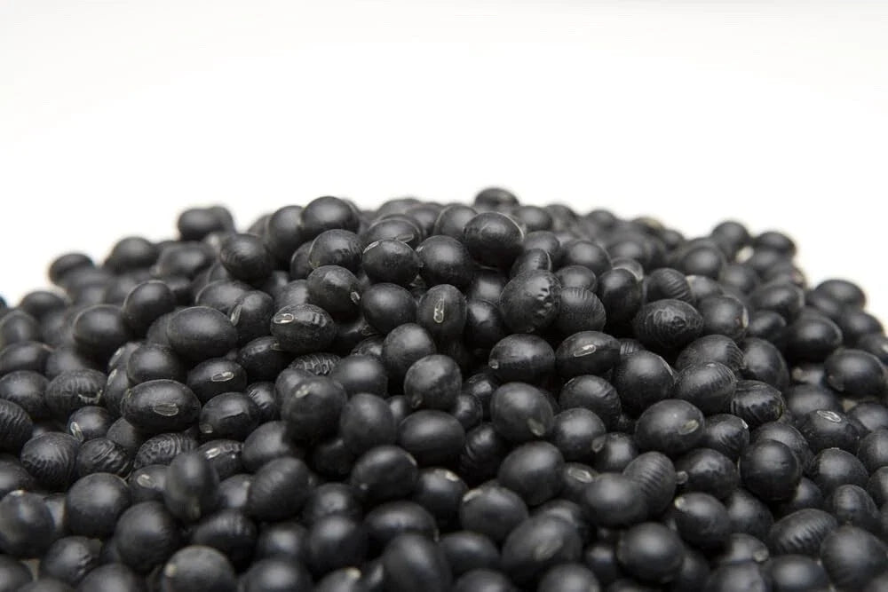 Black Soybean Seeds - 1 lb - Non-GMO for Planting, Sprouts or Full Season, Glycine max