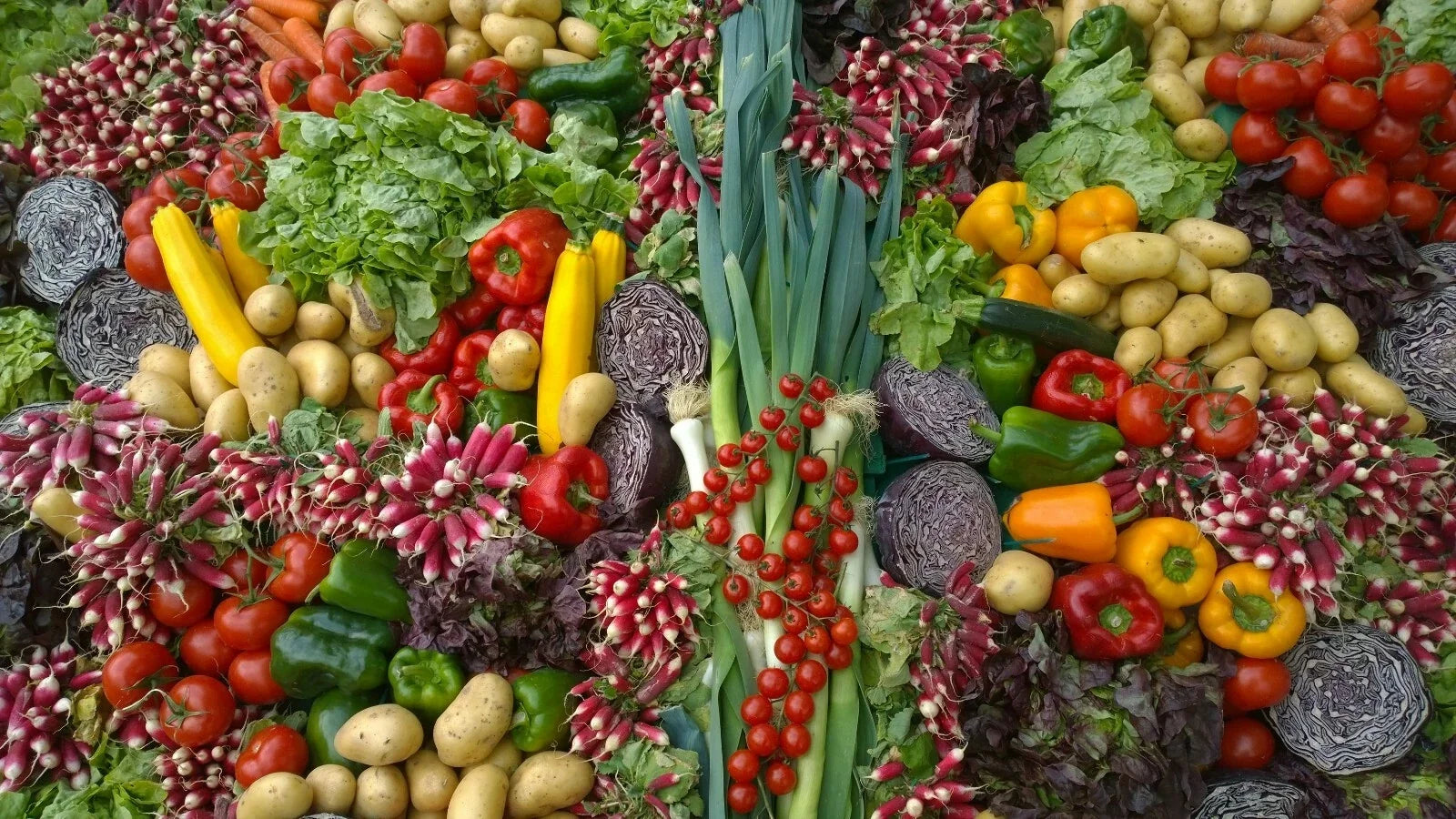 Emergency Survival Seed Bank 21,500+ Seeds 42 Varieties Medicinal Edible Herbal Seed Collection