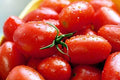 Crovarese Italian Grape Tomato Seeds - Non-GMO, Various Sizes, Heirloom Quality, Solanum lycopersicum