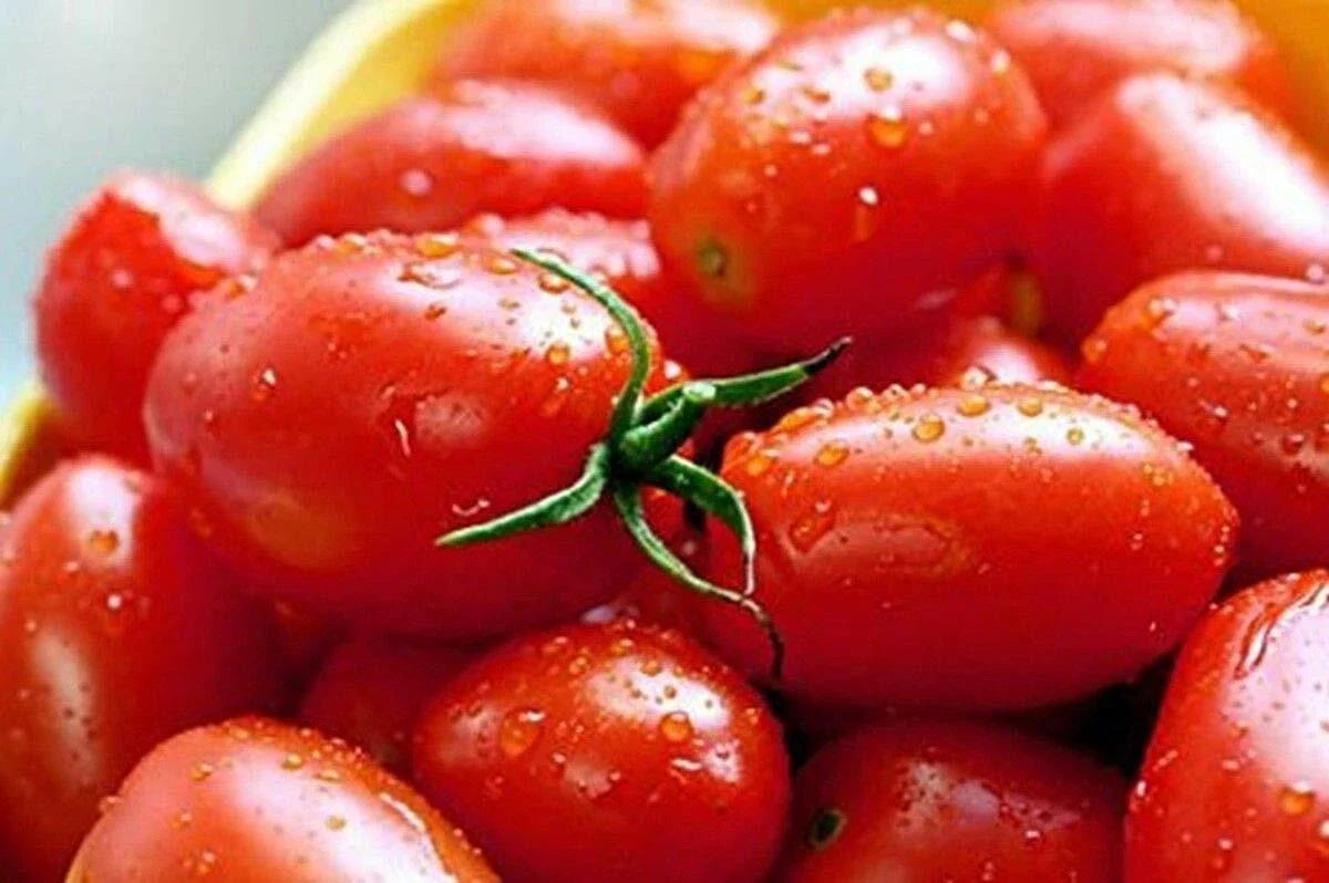 Crovarese Italian Grape Tomato Seeds - Non-GMO, Various Sizes, Heirloom Quality, Solanum lycopersicum