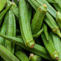 Perkins Long Pod Okra Seeds, Non-GMO, Spineless Variety, Large Size, Abelmoschus esculentus