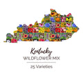 Kentucky Wildflower Seed Mix - 1000 Non-GMO Seeds, 25 Types Perennial & Annual, USA Grown