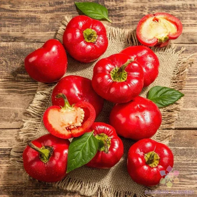 25+ Alma Spicy Paprika Sweet Pepper Seeds - Capsicum annuum - Heirloom Garden Seeds for Home Gardening - USA