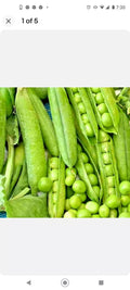 Organic Green Arrow Pea Seeds Non-GMO Heirloom 65-75 Days Vegetable Gardening Seeds