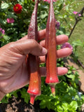 Red Burgundy Okra Seeds - 50+ Non-GMO Heirloom Seeds - Fresh Quality Garden Vegetable