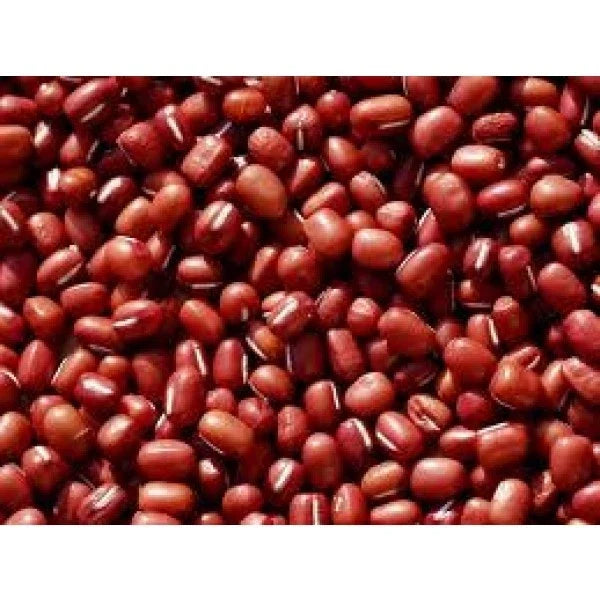 Small Red Soup Beans - Fresh Seeds for Planting - High-Quality Legumes - Ideal for Home Gardens and Cooking