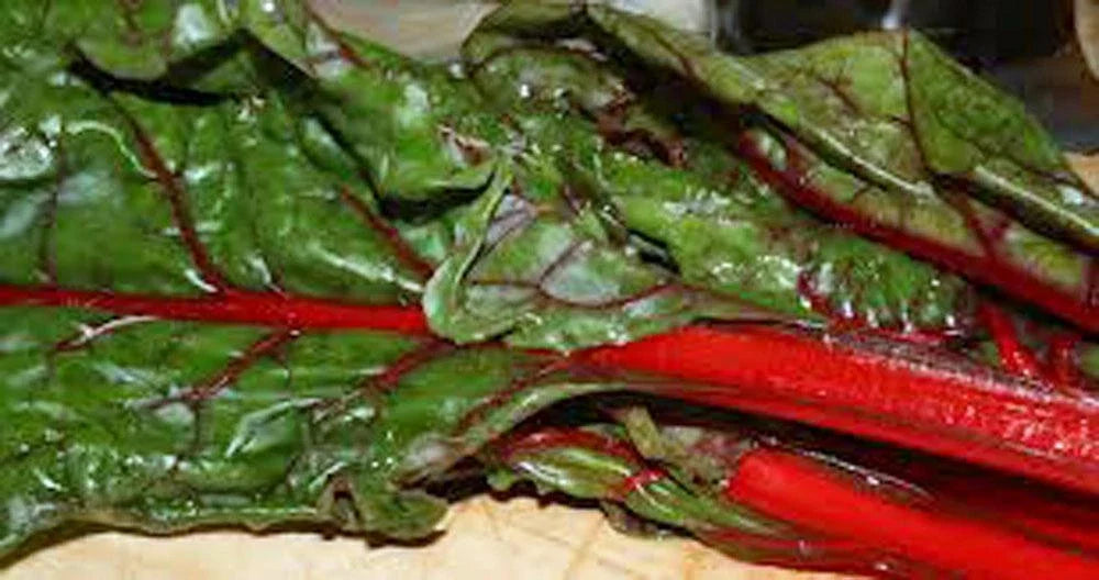 Heirloom Rhubarb Seed, Non-GMO, 1000 Seeds, Swiss Chard Variety, Perfect for Home Gardening, Organic Gardening