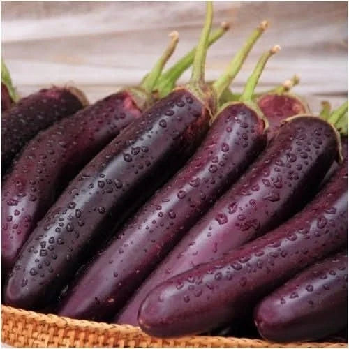 Long Purple Eggplant Seeds - 30 Authentic Premium Seeds - Japanese Variety (Solanum melongena)