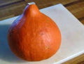 Red Kuri Hokkaido Squash Seeds - 25 Count - Japanese Heirloom Variety - Stonysoil Seed Company