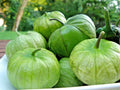 Tomatillo Seeds - 100+ Organic Gigante Variety - Easy Grow Summer Vegetable for Container Gardening