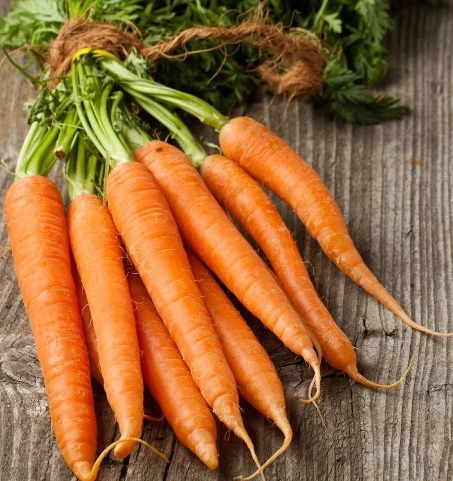 Tendersweet Carrot Seeds - 200+ NON GMO Heirloom Organic Seeds - Daucus carota