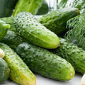 Boston Pickling Cucumber Seeds - 75 Non-GMO Seeds for Pickling - Cucumis sativus - USA Seller