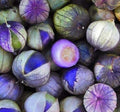 Coban Tomatillo Seeds - 100 Count - Exotic Purple Variety - Physalis ixocarpa