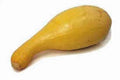 Golden Crookneck Squash Seeds, Heirloom Non-GMO, 500 Seeds, Cucurbita pepo