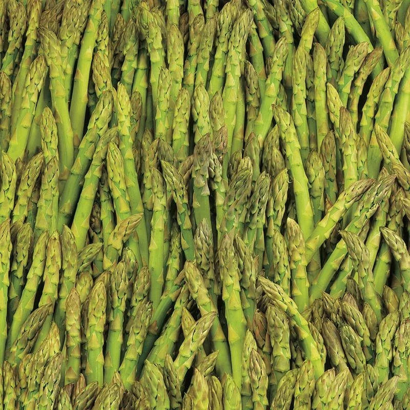 Asparagus Seeds 100+ Mary Washington Non-GMO Vegetable Garden Seeds - Asparagus officinalis