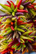 Cayenne Pepper Seeds - 100+ Seeds - Fiesta Blend - Heirloom - Organic - Non-GMO - Capsicum annuum
