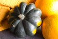 Giant Acorn Squash Seeds - 50 Pack - Nutritious Table Squash - Cucurbita maxima