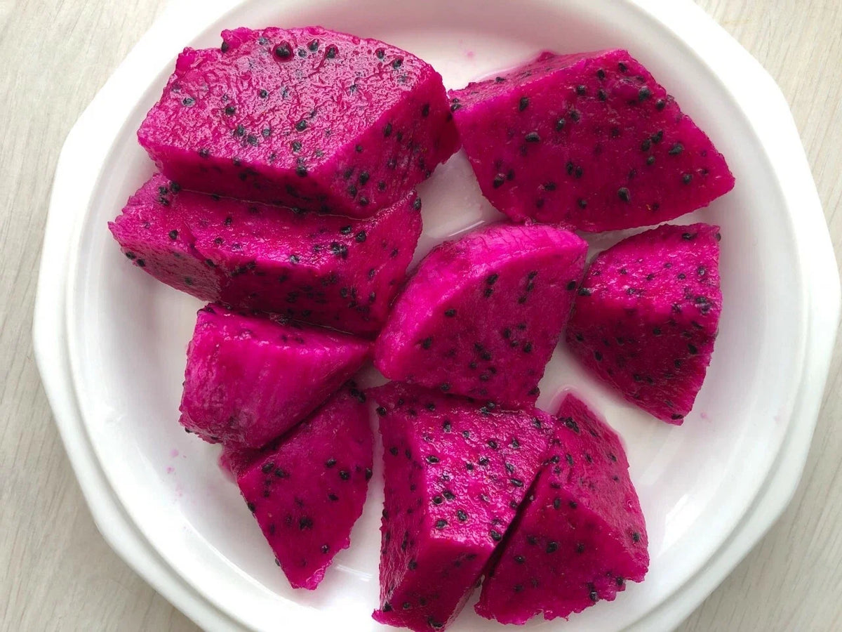 Red Dragon Fruit Cuttings 9-14" American Red - Hylocereus undatus