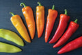Hungarian Hot Wax Pepper Seeds - 30 Seeds for Planting - Spicy Variety (Capsicum annuum)