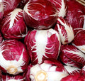 Radicchio Seeds 500+ Rouge de Verona Cichorium intybus Vegetable - Heirloom, Non-GMO, Free Shipping