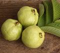 Lucknow 49 Guava Seeds - 50 Count for Garden Planting - Psidium guajava - USA Grown