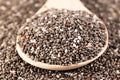 Chia Seeds, 12 Ounces, Microgreens and Sprouting, Salvia hispanica, Organic Superfood for Healthy Living
