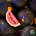 20 Moon and Stars Red Cherokee Watermelon Seeds - Non-GMO, Heirloom Variety, Free Shipping