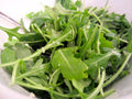 Organic Arugula Roquette Seeds - 600+ Count for Spring & Fall Garden, Patio, and Containers - Fast & Easy Growth