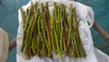 Hardy Chicago Fig Tree Cuttings - 12 Organic Branches - Ficus carica