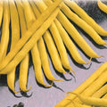 Golden Wax Bush Bean Seeds - Non-GMO Heirloom, Stringless Variety - Top Notch Quality - Free Shipping