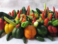 Bulk 500 Seeds Holy Moley Pepper Mix - Strawberry Sweet to 5 Alarm Heat Range - Capsicum Annuum