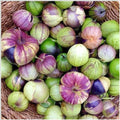 Organic Purple De Milpa Tomatillo Seeds - 50+ Pack - Easy Summer Vegetable for Container Gardening - Non-GMO