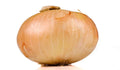 Vidalia Onion Seeds - 500+ Count for Garden Planting - Sweet Variety - Allium cepa