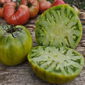Cherokee Green Tomato Seeds - 120+ Heirloom, Non-GMO, Rare Variety - Perfect for Home Gardening