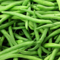Kentucky Wonder Pole Bean Seeds 50 Ct Heirloom NON-GMO Vegetable Garden Seeds (Phaseolus vulgaris)