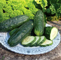 Double Yield Cucumber Seeds - Organic Heirloom - NON-GMO - 100+ Seeds - Cucumis sativus