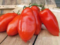 Heirloom Tomato Seeds Garden Collection 6 Pack - Non-GMO, Organic Varieties for Home Gardening