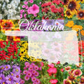 Bulk Wildflower Seed Mix 1 lb - Eastern Oklahoma Variety - Covers 2,000 sq ft - Native Wildflowers for Garden and Landscape