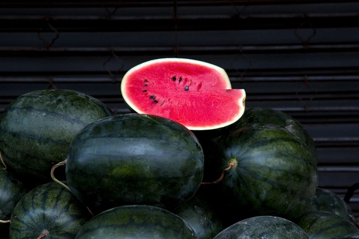 Florida Giant/Black Diamond Watermelon Seeds - 10 Seeds - Citrullus lanatus - Non-California Shipping