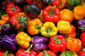 Rainbow Sweet Bell Pepper Seeds - 50 Count - Colorful Mix - Capsicum annuum