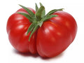 Beefsteak Tomato Seeds - 30+ Large Heirloom Non-GMO Organic - Solanum lycopersicum