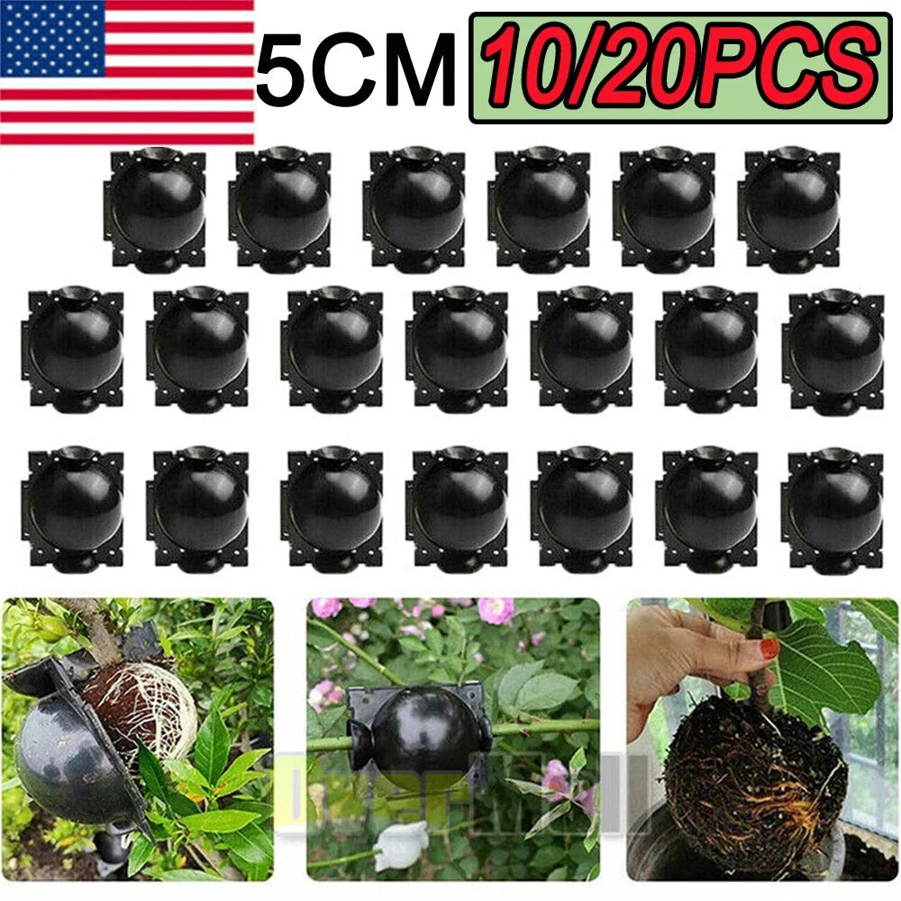 Plant Rooting Devices 10/20X Grafting Box High Pressure Propagation Ball for Cuttings and Seeds