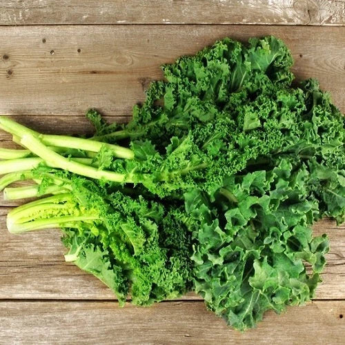 Dwarf Siberian Kale Seeds - 1,000 Non-GMO Heirloom Seeds for Gardening - Brassica napus