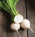 White Albino Beet Seeds - 500+ Heirloom Organic NON-GMO - Fresh Vegetable Seeds for Home Gardening
