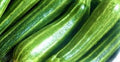 Cocozelle Zucchini Seeds 30 Seeds Non-GMO Heirloom Cucurbita pepo