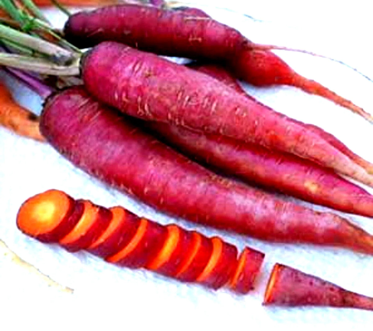 Purple Dragon Carrot Seeds - Non-GMO, 200+ Seeds, Heirloom Variety, Daucus carota