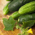 Non-GMO Long Green Improved Cucumber Seeds for Home Garden - Cucumis sativus - Shipped with Tracking