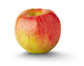 Dwarf Apple Tree Cuttings - 12 Organic Live Grafting Scions - Ideal for Rooting - Malus domestica
