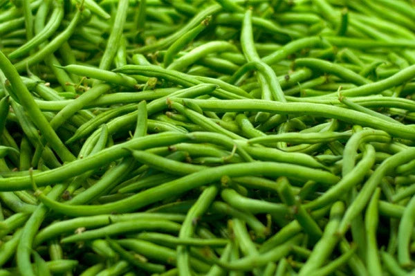 Strike Green Bean Seeds - Fresh Green Bean Seeds - Organic Gardening - Phaseolus vulgaris