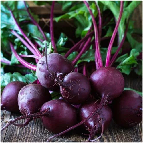 Beet Seeds 100 Ct Early Wonder Tall Top NON-GMO Vegetable Garden Seeds Beta vulgaris